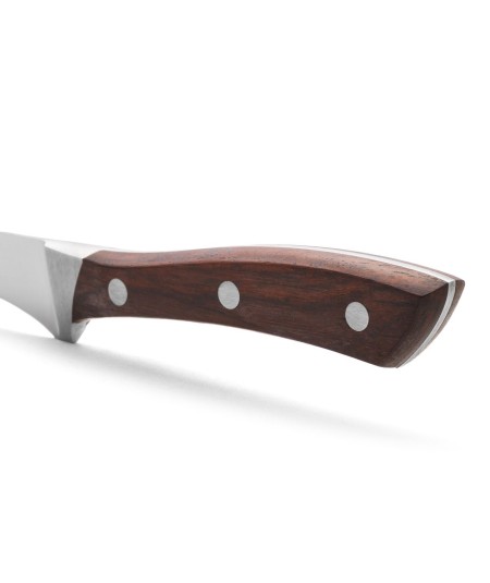 ARCOS NATURA CUCHILLO JAMONERO 250MM